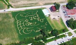 CornMaze 2009